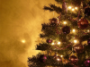 árbol de Navidad - signo de la venida del Señor