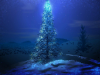 árbol de Navidad signo de la presencia del Señor