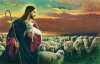 ovejas sin pastor - domingo 16 B