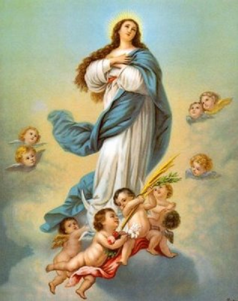 Asunción De La Virgen María A Los Cielos Solemnidad Recursos Imágenes Gráficos Audios