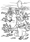 el maná en el desierto
