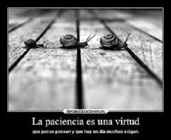 La paciencia es una virtud